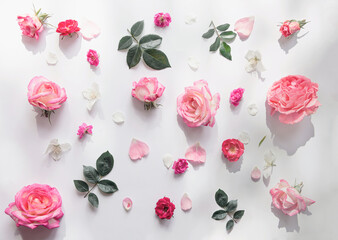 Summer pattern made of beautiful rose buds on white background. Nature concept. Minimal style. Top...
