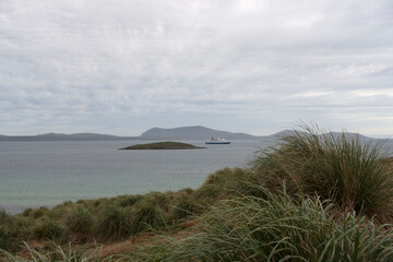 Falkland Islands. Landscape on a cloudy winter day