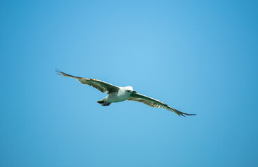 There are clean and carefully taken photos of all areas and types. visit my profile.