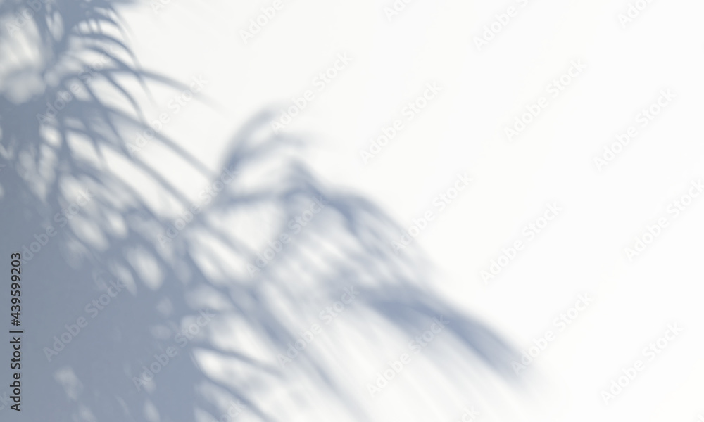 Poster shadow from a tree falling on a white wall. 3d rendering