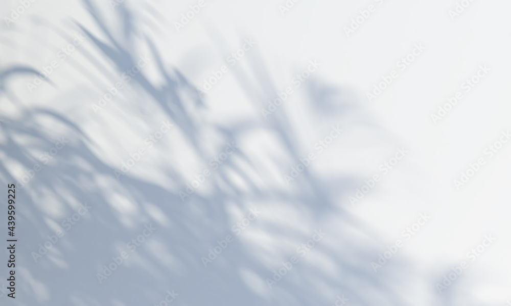 Poster shadow from a tree falling on a white wall. 3d rendering
