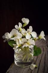 Bouquet of white flowers on a dark background