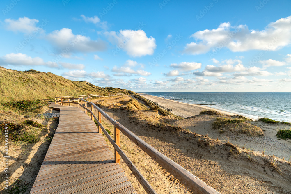 Wall mural path along the north sea coast near kampen, sylt, schleswig-holstein