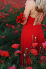 Fototapeta na wymiar A girl in a red dress from the back in a field with blooming red flowers poppies. A chic dress with a bare back and red flowers.