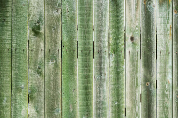 Fototapeta na wymiar Old shabby wooden boards of fence with cracked green paint, cracks. Vintage background