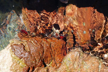 close-up of clear sea water in stones 