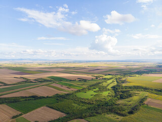 Fototapeta premium Fertile fields and blue sky in Serbia. Aerial photography. 