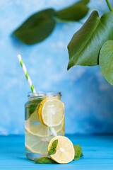 Tasty cool beverage with lemon and basil in mason jar glass