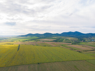 Vineyards under the hill. Aerial photography. 