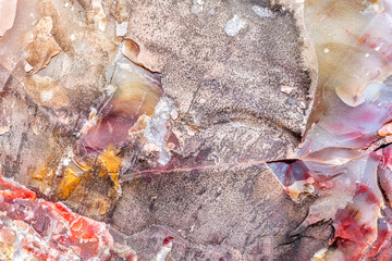 Petrified Forest National Park in Arizona