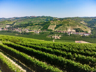 Hills between Serralunga and Castiglion Falletto, Piedmont - Italy