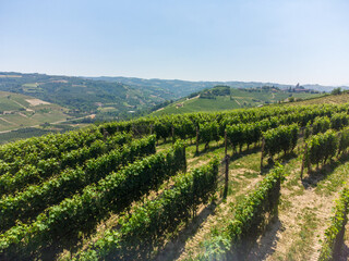 Fototapeta na wymiar Hills between Serralunga and Castiglion Falletto, Piedmont - Italy