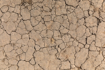 Abstract texture of cracking soil ground of drougt area in forest.