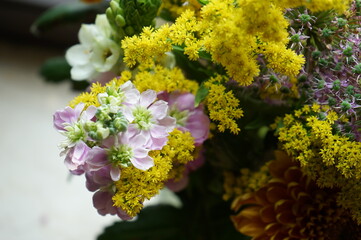 Obraz premium Matthiola incana aka hoary stock and Euthamia aka goldenrod in full bloom bouquet