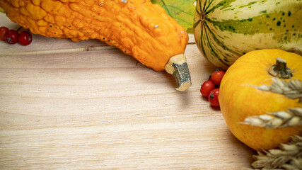 Cozy fall season. Autumn Natural harvest with rye spike orange pumpkin, fall dried leaves, red...