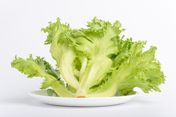 Green frillice iceberg lettuce on white plate with white background	