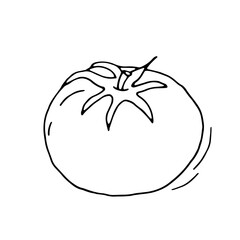 Tomato. Vegetable. Healthy diet. Vitamins. Vegetarian food. Eco. Harvest from the garden. Doodle. Vector. Hand-drawn illustration. Silhouette. Black and white outline. Coloring.