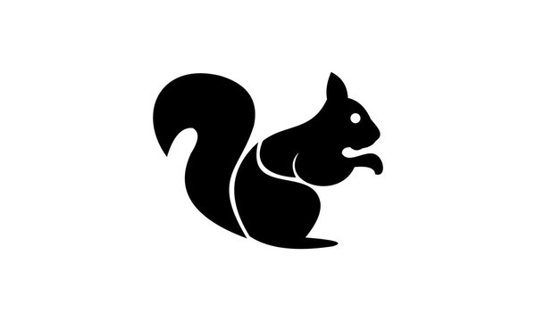 vector squirrel icon