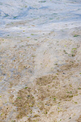 mucilage on the sea surface, istanbul, environmental disaster,
