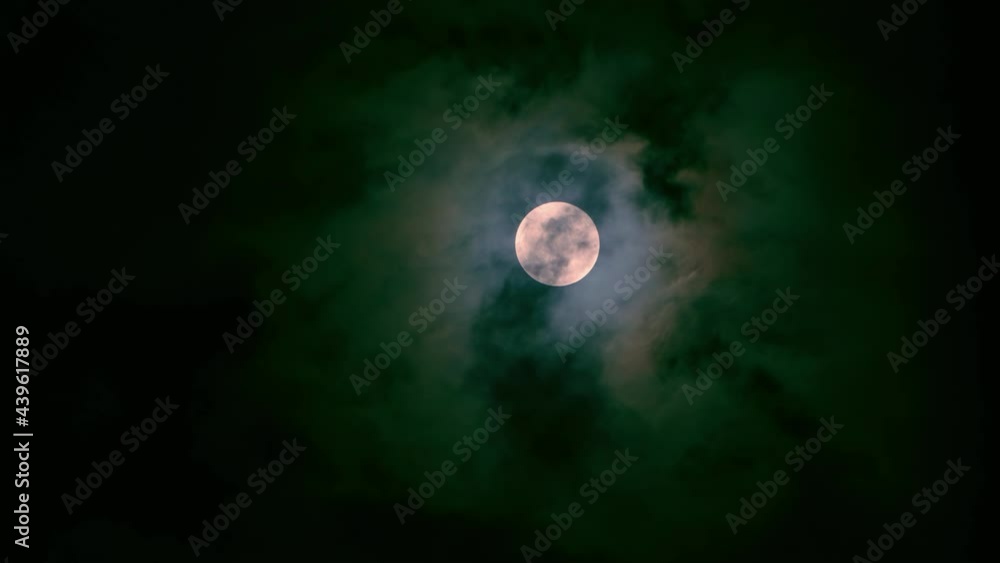 Wall mural the full moon peeps through the branches of palm trees and exotic trees on the seashore. background 