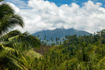 Fototapeta na wymiar Klabat volcano, hidden by clouds, in the background of a tropical landscape of palm trees and green trees, North Minahasa, Sulawesi, Indonesia