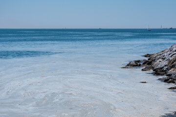 mucilage on the sea surface, istanbul, environmental disaster,