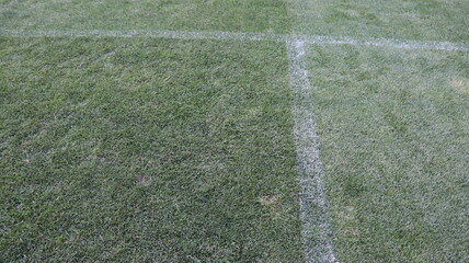 green grass on stadium with soccer symbols