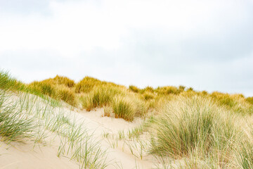 Sand dunes with helmgrass and cloudy sky on Texel island in the Netherlands.