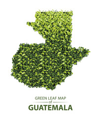 Green leaf map of Guatemala vector illustration of a forest is concept