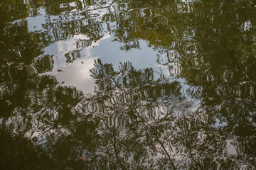 Obraz premium Light and shadow create beautiful images.