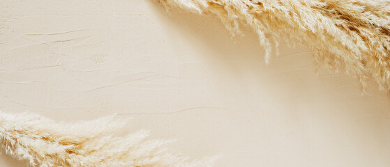 Dried pampas grass Cortaderia on clay texture. Abstract rustic background