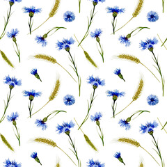 Floral seamless watercolor pattern of wildflowers and herbs. Blue cornflowers, wheat spikelets and meadow grasses. Summer illustration for printing - obrazy, fototapety, plakaty