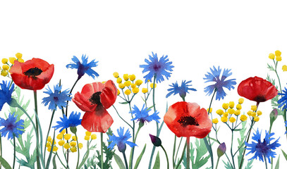 Seamless border of wild flowers and herbs on a white background. Cornflowers, poppies, tansy. Watercolor illustration