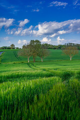 Paysage campagne 949