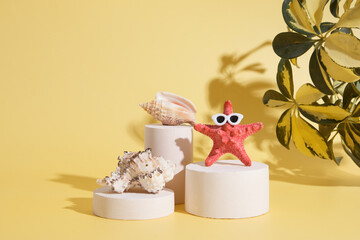 Starfish in sunglasses and shells on the catwalks under the hot sun. Creative summer concept