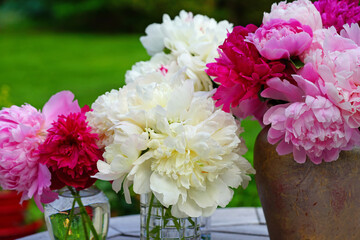 A bouquet of pink and white peony flowers in a vase