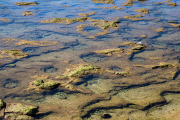 La Playa de la Caleta, Cádiz, Andalusia, Spain: close-up of rocks at low tide