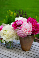 A bouquet of pink and white peony flowers in a vase