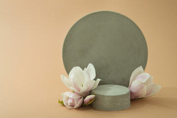 minimalist mockup with concrete shapes and magnolia blooming