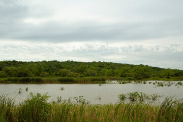Panorama view of the lake, reeds, and green forest in Pre Delta national Park in Entre Ríos, Argentina.	
