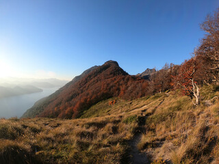 The valley and mountains at sunset. View of Lake Nahuel Huapi, the golden meadow, red forest, yellow grass and blue sky from the mountaintop at dusk. Beautiful autumn colors in the plants foliage. 