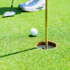 putter and golf ball on the green
