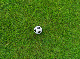 classic soccer ball on textured real green lawn