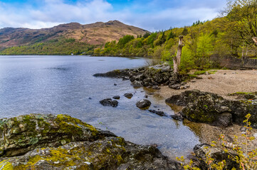 A view along the southern shore of Loch Lomond in Scotland on a summers day