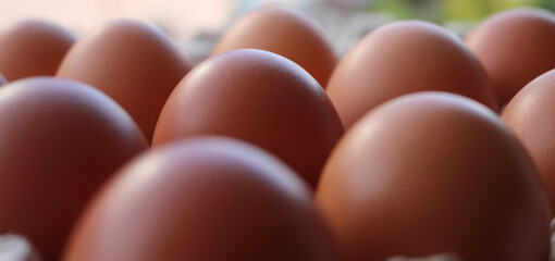 Chicken eggs placed alternately has a texture similar to waveform