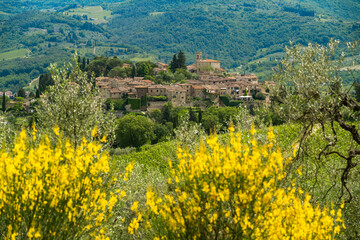 The ancient medieval village of Montefioralle Florence Italy With Ginestra flowers