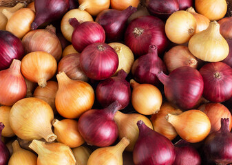 Background from red and yellow onions. Healthy vegetable, copy space