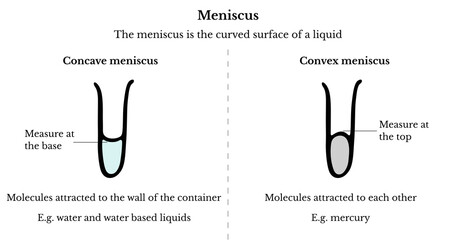 Concave meniscus and convex meniscus differences chart, vector illustration - obrazy, fototapety, plakaty