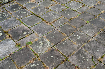 Background of old paving slabs with sprouted grass between it