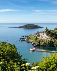 Looe Island from the coastal path South East Cornwall